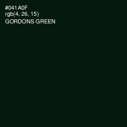 #041A0F - Gordons Green Color Image